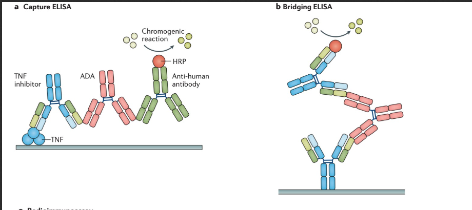 Anti-drug antibodies